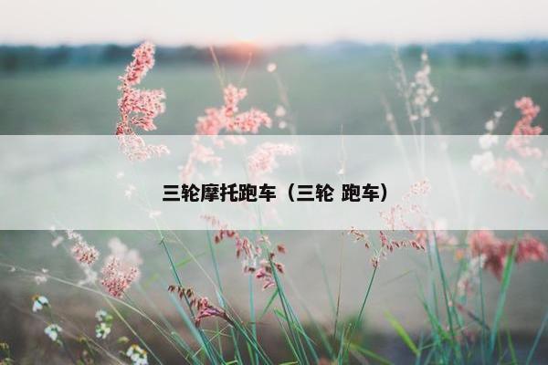 三轮摩托跑车（三轮 跑车）
