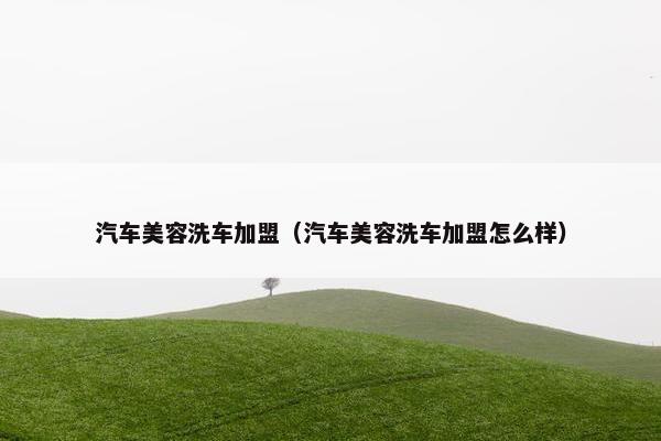 汽车美容洗车加盟（汽车美容洗车加盟怎么样）