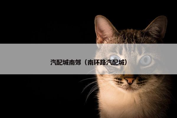 汽配城南郊（南环路汽配城）