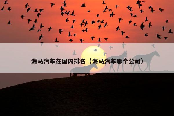 海马汽车在国内排名（海马汽车哪个公司）