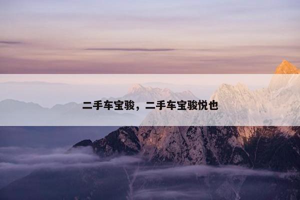 二手车宝骏，二手车宝骏悦也