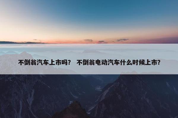 不倒翁汽车上市吗？ 不倒翁电动汽车什么时候上市？