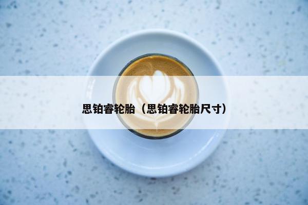 思铂睿轮胎（思铂睿轮胎尺寸）