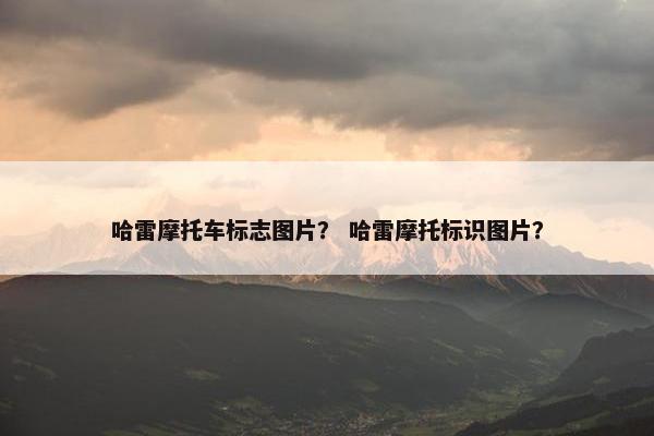 哈雷摩托车标志图片？ 哈雷摩托标识图片？