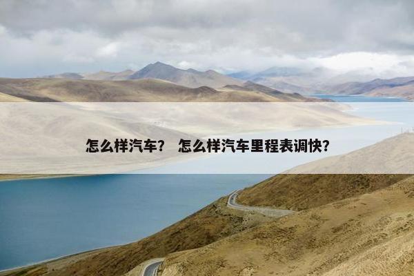 怎么样汽车？ 怎么样汽车里程表调快？