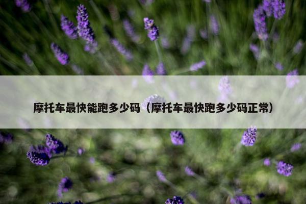 摩托车最快能跑多少码（摩托车最快跑多少码正常）