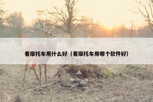 看摩托车用什么好（看摩托车用哪个软件好）