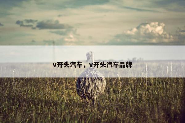v开头汽车，v开头汽车品牌