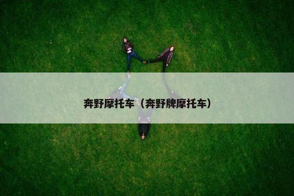 奔野摩托车（奔野牌摩托车）