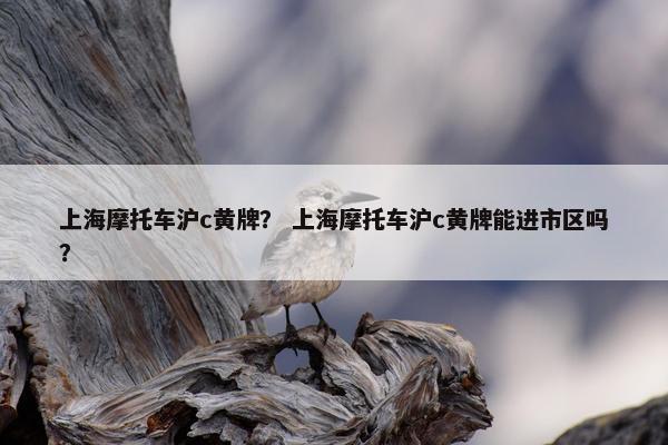 上海摩托车沪c黄牌？ 上海摩托车沪c黄牌能进市区吗？