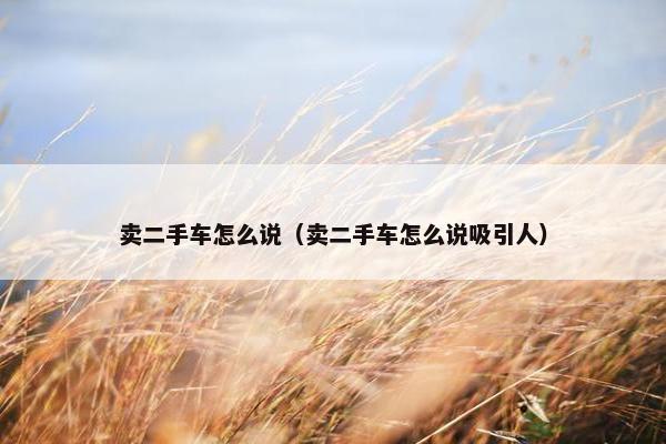 卖二手车怎么说（卖二手车怎么说吸引人）