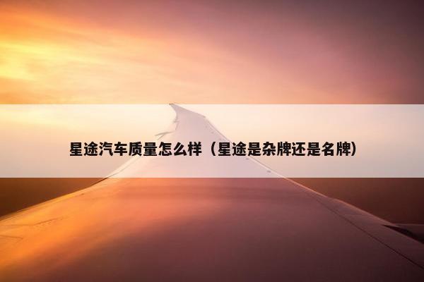 星途汽车质量怎么样（星途是杂牌还是名牌）