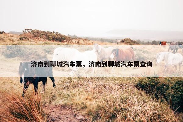 济南到聊城汽车票，济南到聊城汽车票查询