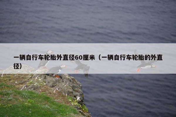 一辆自行车轮胎外直径60厘米（一辆自行车轮胎的外直径）