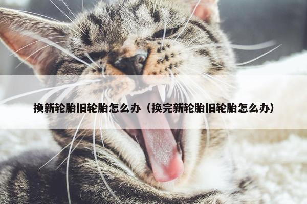 换新轮胎旧轮胎怎么办（换完新轮胎旧轮胎怎么办）
