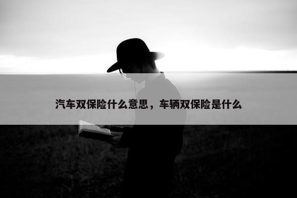 汽车双保险什么意思，车辆双保险是什么