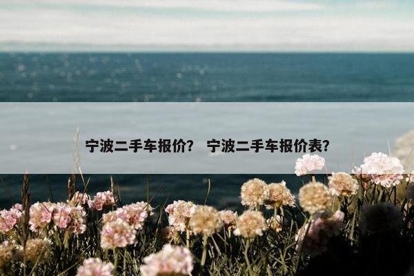 宁波二手车报价？ 宁波二手车报价表？
