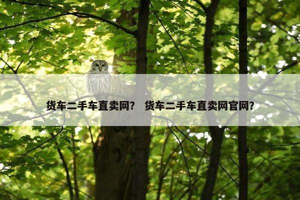 货车二手车直卖网？ 货车二手车直卖网官网？