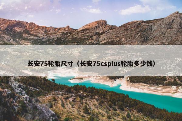 长安75轮胎尺寸（长安75csplus轮胎多少钱）
