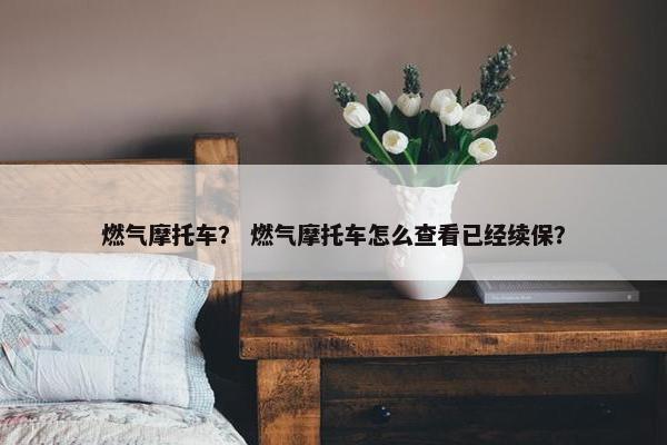 燃气摩托车？ 燃气摩托车怎么查看已经续保？