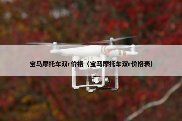 宝马摩托车双r价格（宝马摩托车双r价格表）