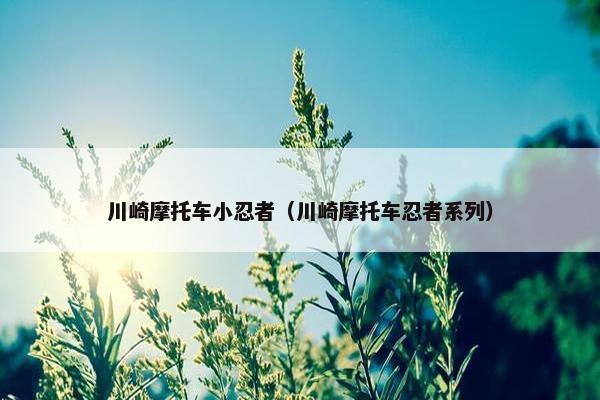 川崎摩托车小忍者（川崎摩托车忍者系列）