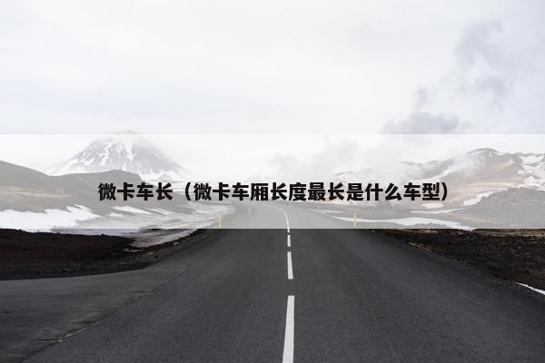 微卡车长（微卡车厢长度最长是什么车型）