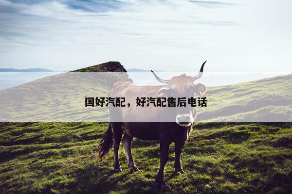 国好汽配，好汽配售后电话