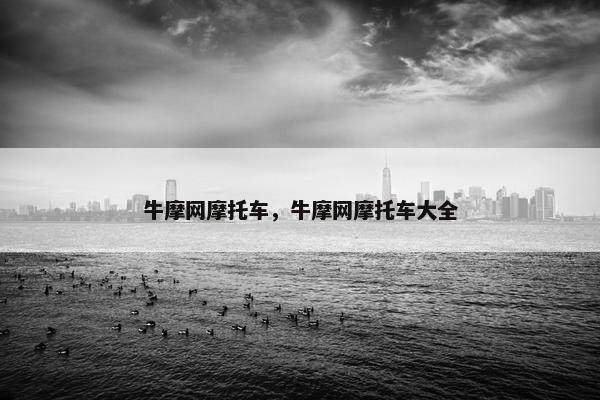 牛摩网摩托车，牛摩网摩托车大全