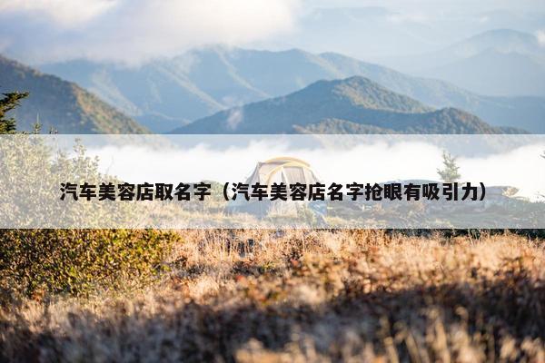汽车美容店取名字（汽车美容店名字抢眼有吸引力）