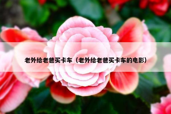 老外给老爸买卡车（老外给老爸买卡车的电影）