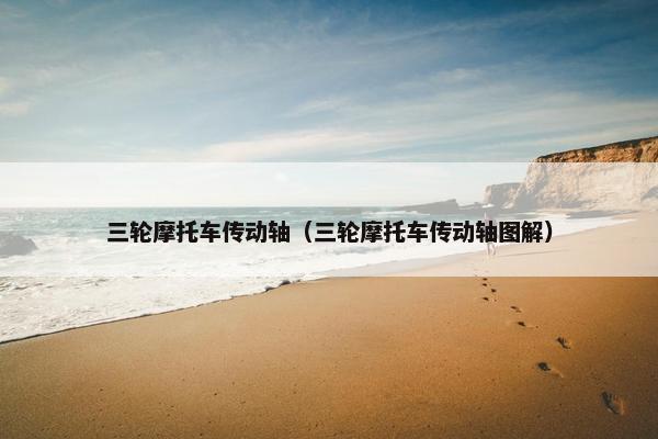 三轮摩托车传动轴（三轮摩托车传动轴图解）