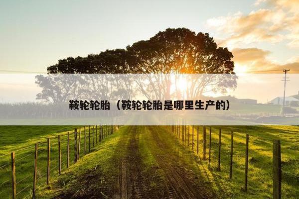 鞍轮轮胎（鞍轮轮胎是哪里生产的）
