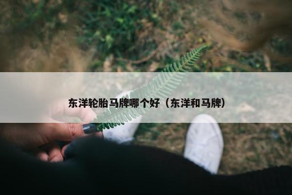 东洋轮胎马牌哪个好（东洋和马牌）