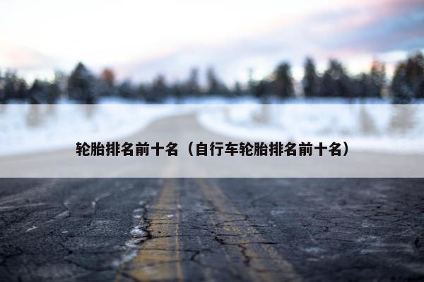 轮胎排名前十名（自行车轮胎排名前十名）