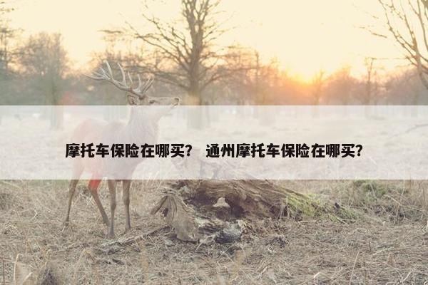 摩托车保险在哪买？ 通州摩托车保险在哪买？