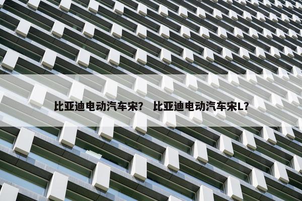 比亚迪电动汽车宋？ 比亚迪电动汽车宋L？