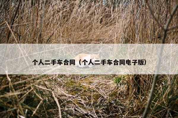 个人二手车合同（个人二手车合同电子版）