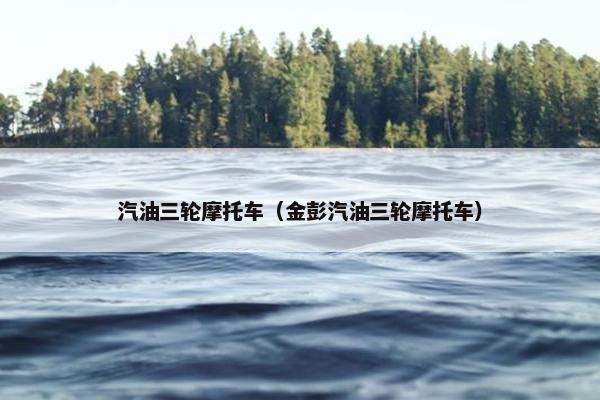 汽油三轮摩托车（金彭汽油三轮摩托车）
