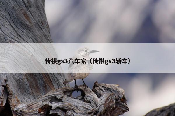 传祺gs3汽车家（传祺gs3轿车）