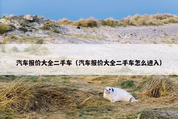 汽车报价大全二手车（汽车报价大全二手车怎么进入）