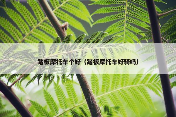踏板摩托车个好（踏板摩托车好骑吗）