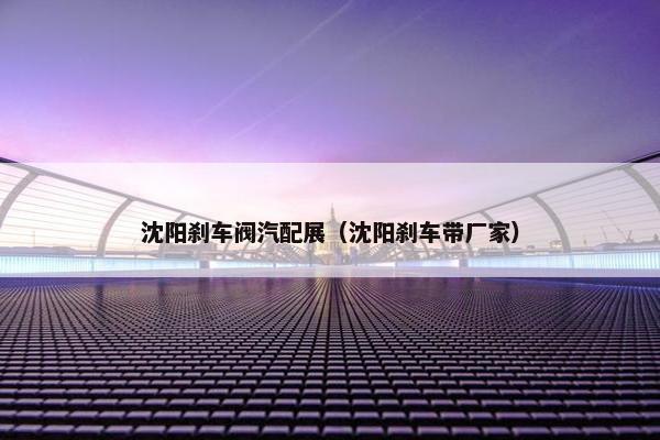 沈阳刹车阀汽配展（沈阳刹车带厂家）