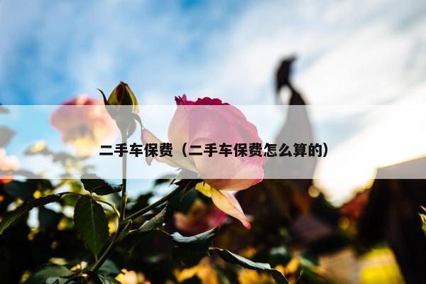 二手车保费（二手车保费怎么算的）
