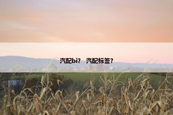 汽配bi？ 汽配标签？
