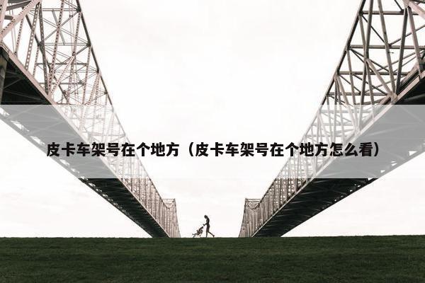 皮卡车架号在个地方（皮卡车架号在个地方怎么看）