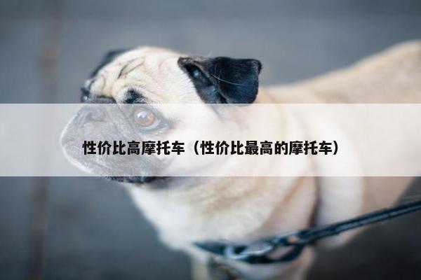 性价比高摩托车（性价比最高的摩托车）