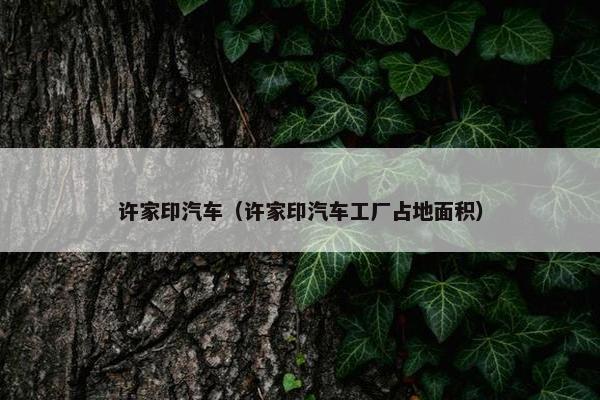 许家印汽车（许家印汽车工厂占地面积）