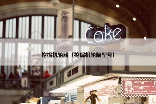 挖掘机轮胎（挖掘机轮胎型号）