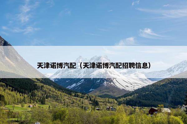 天津诺博汽配（天津诺博汽配招聘信息）